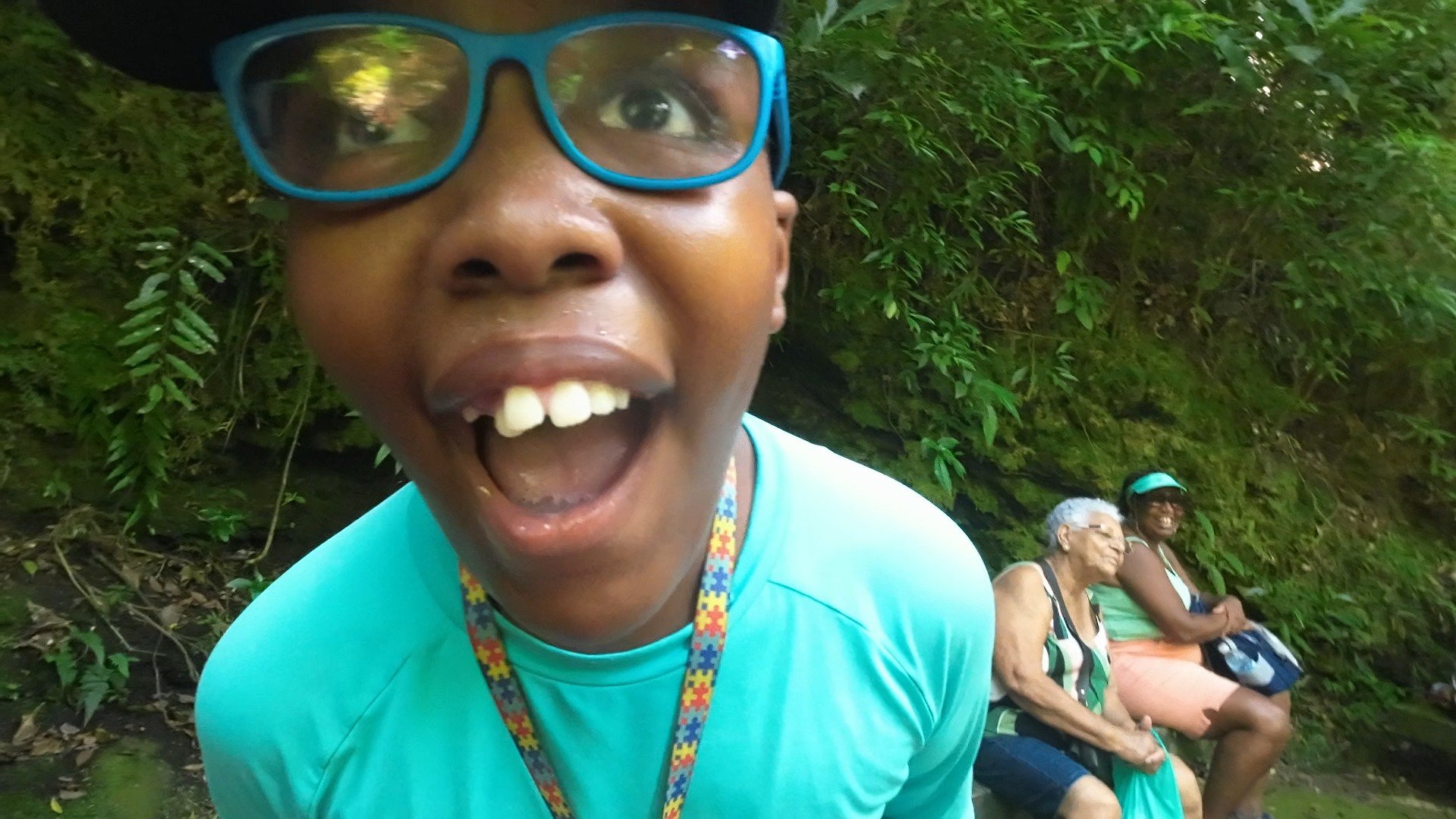 floresta encantada destinosdorio autista nivel3