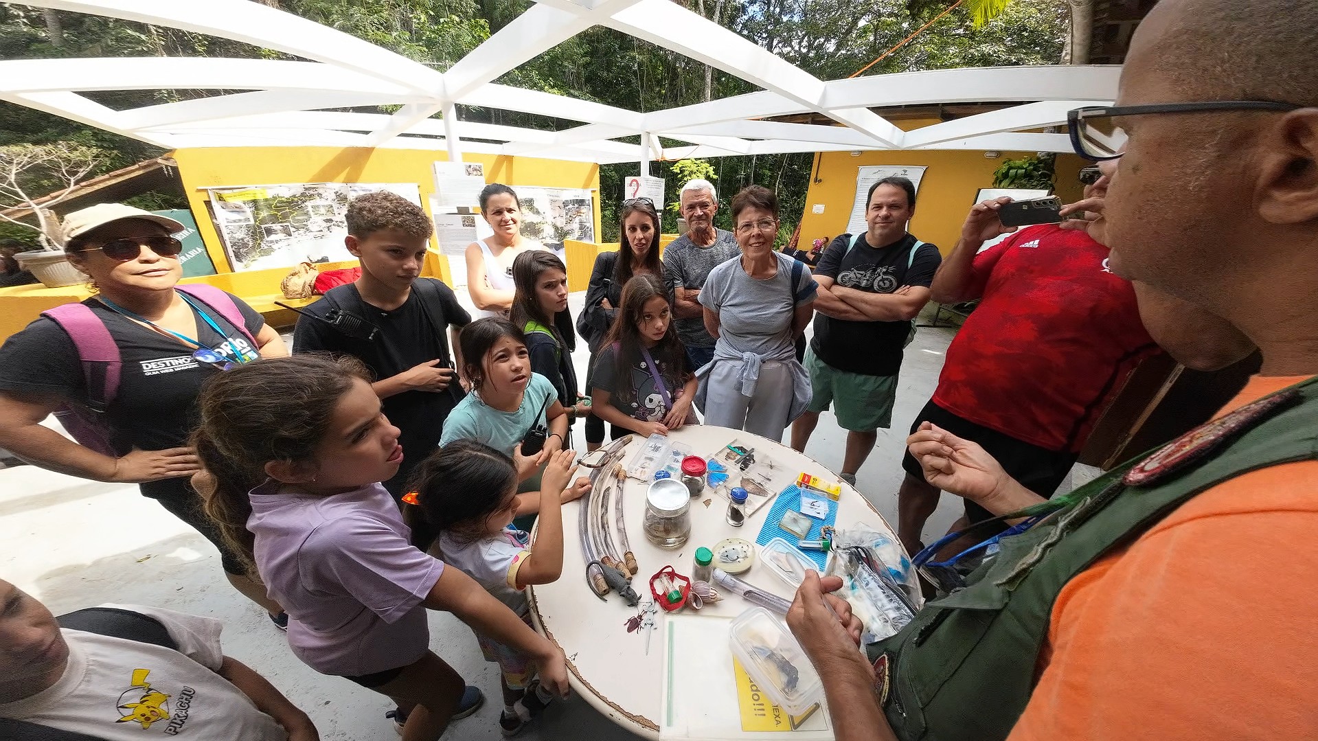 floresta encantada destinosdorio museu palestra amilton