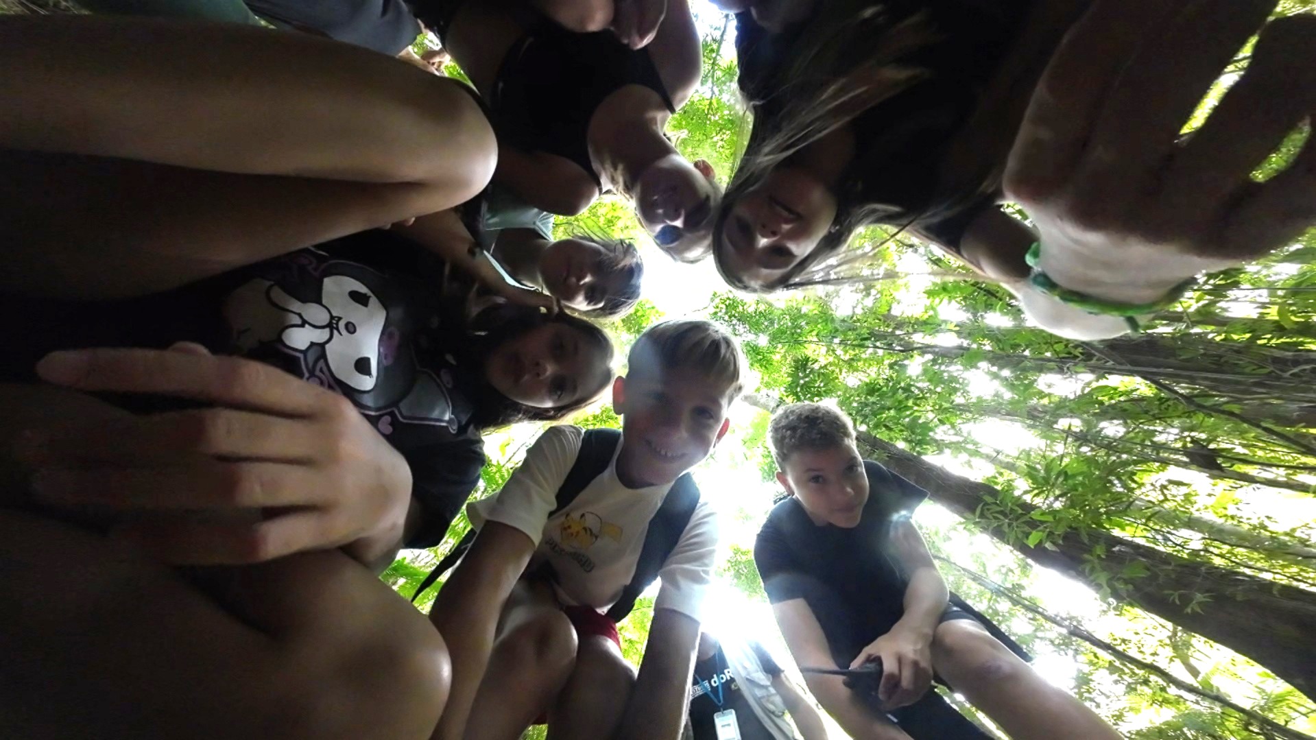 floresta encantada destinosdorio olhando o chao crianças