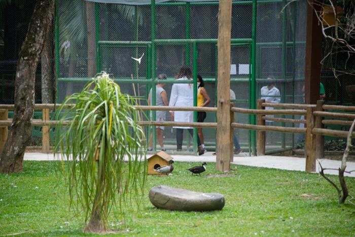 zoo2