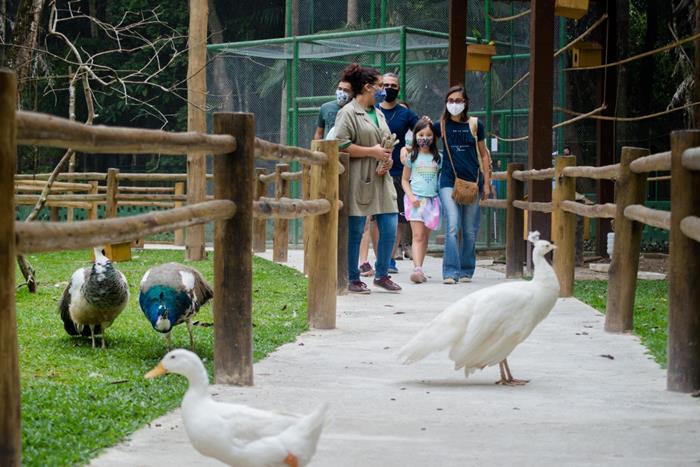 zoo4