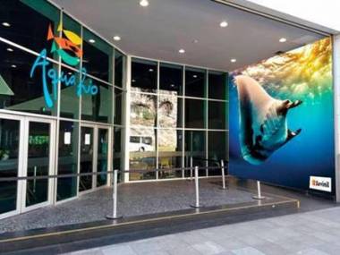 AquaRio recebe uma nova espécie: uma raia de 24m² que nem cabe dentro d&#039;água. Conheça!
