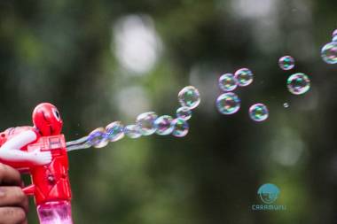 Responsabilidade Social na Gestão Publica