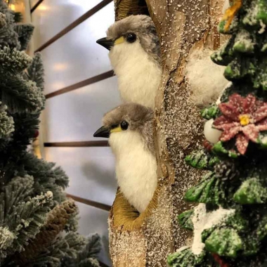 Comércio em Petrópolis já começa a entrar no clima do Natal Imperial