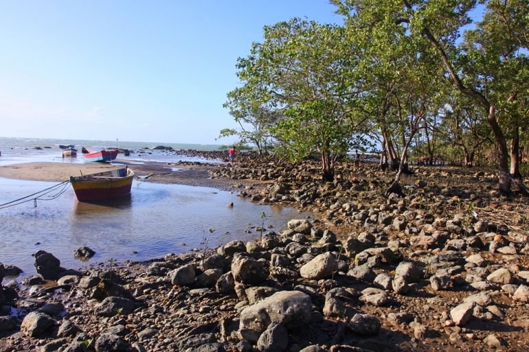 A área da APA Mangue de Pedras é de 75 hectares