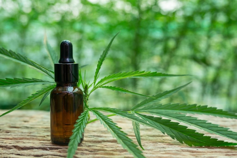 Em Vinhedo (SP) o uso medicinal da Cannabis está cada vez mais sendo esclarecido