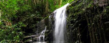 A Cachoeira das Almas é liberada para banho e fica no setor floresta do Parque Nacional da Tijuca.