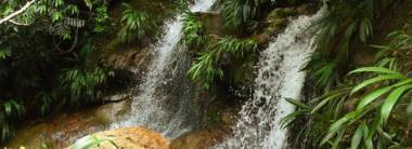 Cachoeira da Praia Brava em Trindade.