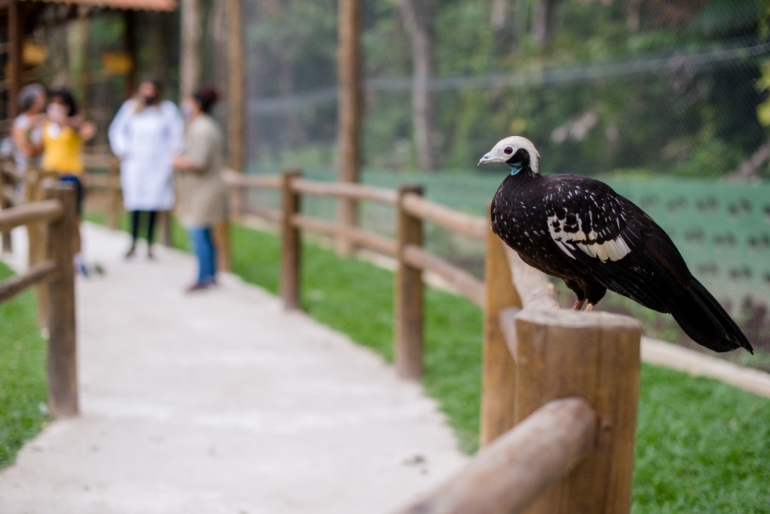 Zoológico de Volta Redonda atrai visitantes no fim de semana