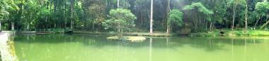 O Açude da Solidão é um lindo recanto no Parque Nacional da Tijuca.