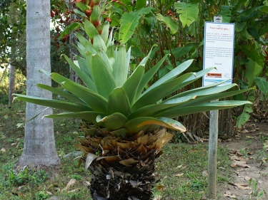 O Parque Ecológico da Prainha é um parque com direito a praia.